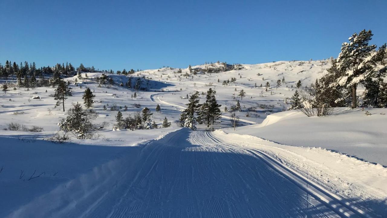 Ski Lodge Gautefall 外观 照片